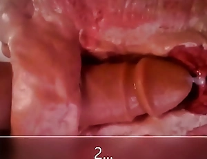 Close up and internal view of anal sextoy fucking