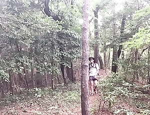 A stroll flip a catch woods